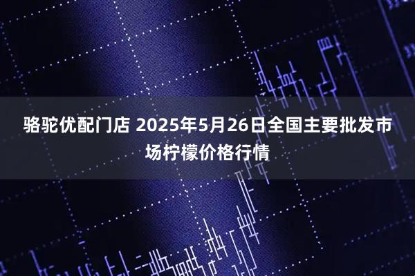 骆驼优配门店 2025年5月26日全国主要批发市场柠檬价格行情