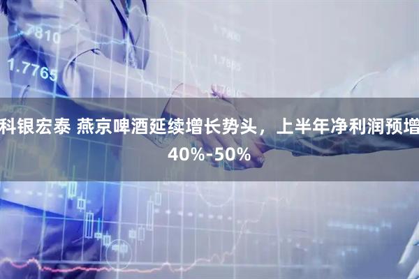 科银宏泰 燕京啤酒延续增长势头，上半年净利润预增40%-50%