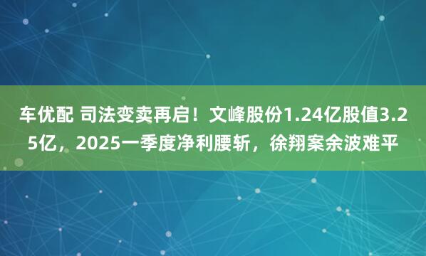 车优配 司法变卖再启！文峰股份1.24亿股值3.25亿，2025一季度净利腰斩，徐翔案余波难平