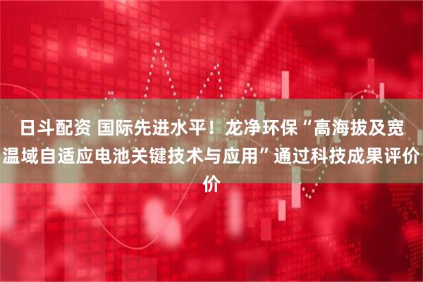 日斗配资 国际先进水平！龙净环保“高海拔及宽温域自适应电池关键技术与应用”通过科技成果评价