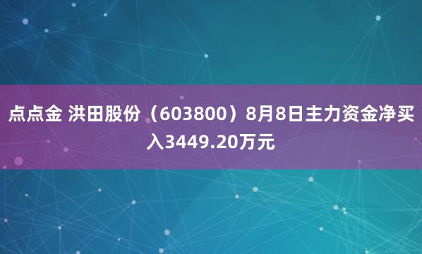 点点金 洪田股份（603800）8月8日主力资金净买入3449.20万元