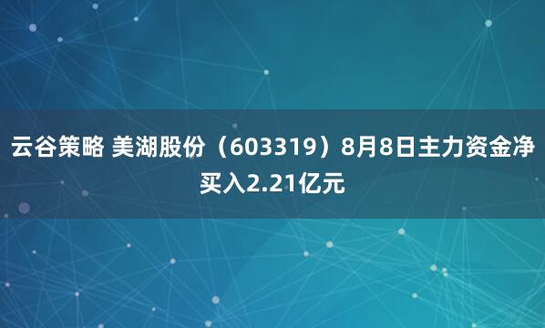 云谷策略 美湖股份（603319）8月8日主力资金净买入2.21亿元