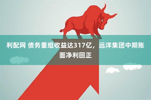 利配网 债务重组收益达317亿，远洋集团中期账面净利回正