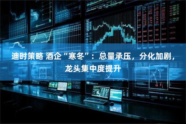 迪时策略 酒企“寒冬”：总量承压，分化加剧，龙头集中度提升