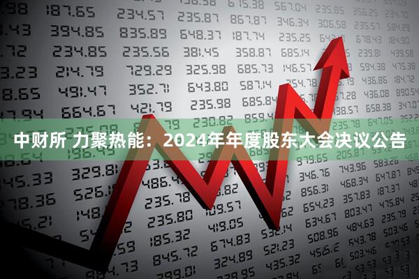 中财所 力聚热能：2024年年度股东大会决议公告